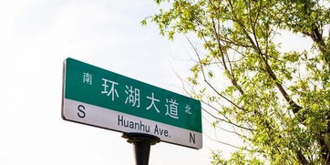 路牌伤人无人领责 法院推定找出祸首